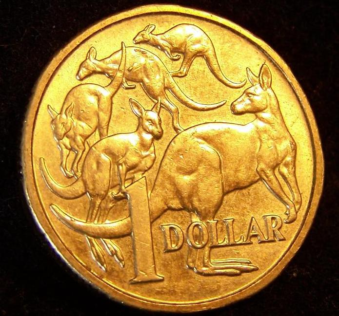 Engorged-1984-$1-Main-Roo-Tick!